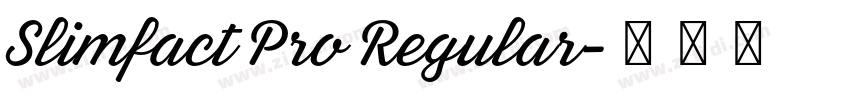 Slimfact Pro Regular字体转换